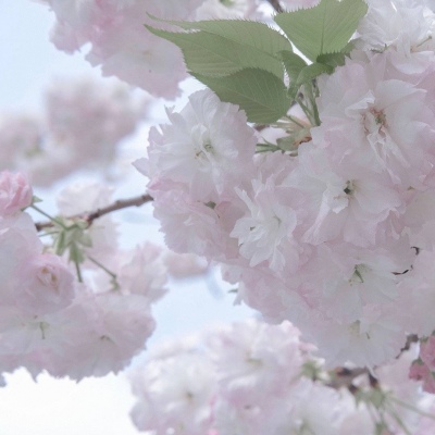 Furry绘画构图指南兽圈社群